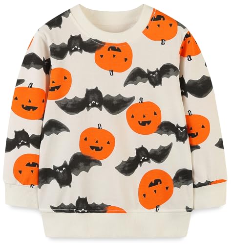 Image of Hongshilian Unisex Kids Cute Cartoon Cotton Sweater Shirt
