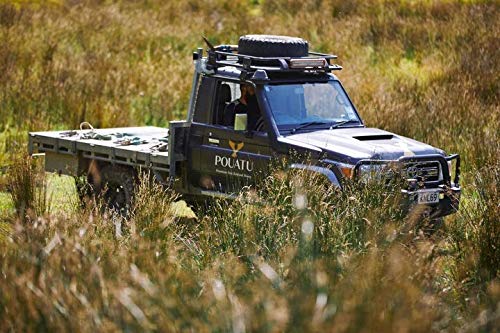 Pouatu Manuka Honing UMF 15+ (MGO > 514), rauw, echt en onbehandeld. 250g. Duurzaam gemeenschapsproduct uit de… - Afbeelding 5