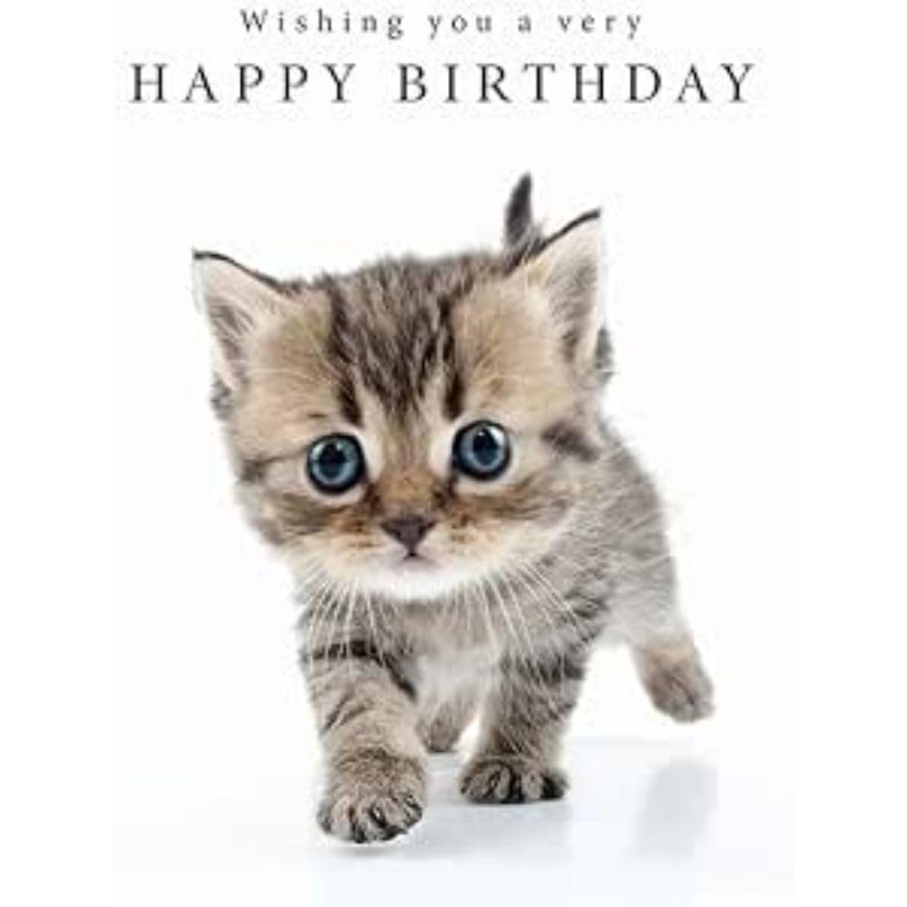 Piccadilly Greetings Wishing you a very Happy Birthday Card Tabby Kitten - 8 x 6 inches