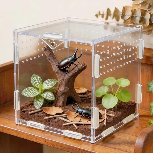 Image of Portable Travel Jumping Spider Enclosure, Acrylic Terrarium for Spider, Magnetic Lock Spider Habitat & Small Terrarium Ventilated for Tarantula,Mantis,Frog,Insect Enclosure cage(5.9x5.9x5.9 Inch)