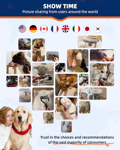 Dog Brush for Shedding 20 Blade Dematting Tool Pet Brush Undercoat Rake for Large Medium Small Dogs and Cats Shedding Dog Comb for Grooming Premium Wood Handle Efficiently Detangle and Groom Coats  Cucciolini Doodles Dog brush for shedding 20 blade dematting tool pet brush undercoat rake for large medium small dogs and cats shedding dog comb for grooming premium wood handle efficiently detangle and groom coats   cucciolini doodles