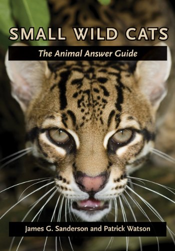 Small Wild Cats: The Animal Answer Guide (The Animal Answer Guides: Q&A for the Curious Naturalist)