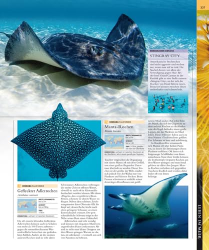 Ozeane: Die große Bildenzyklopädie mit über 2000 Fotografien und Karten: Vorw. v. Fabien Cousteau