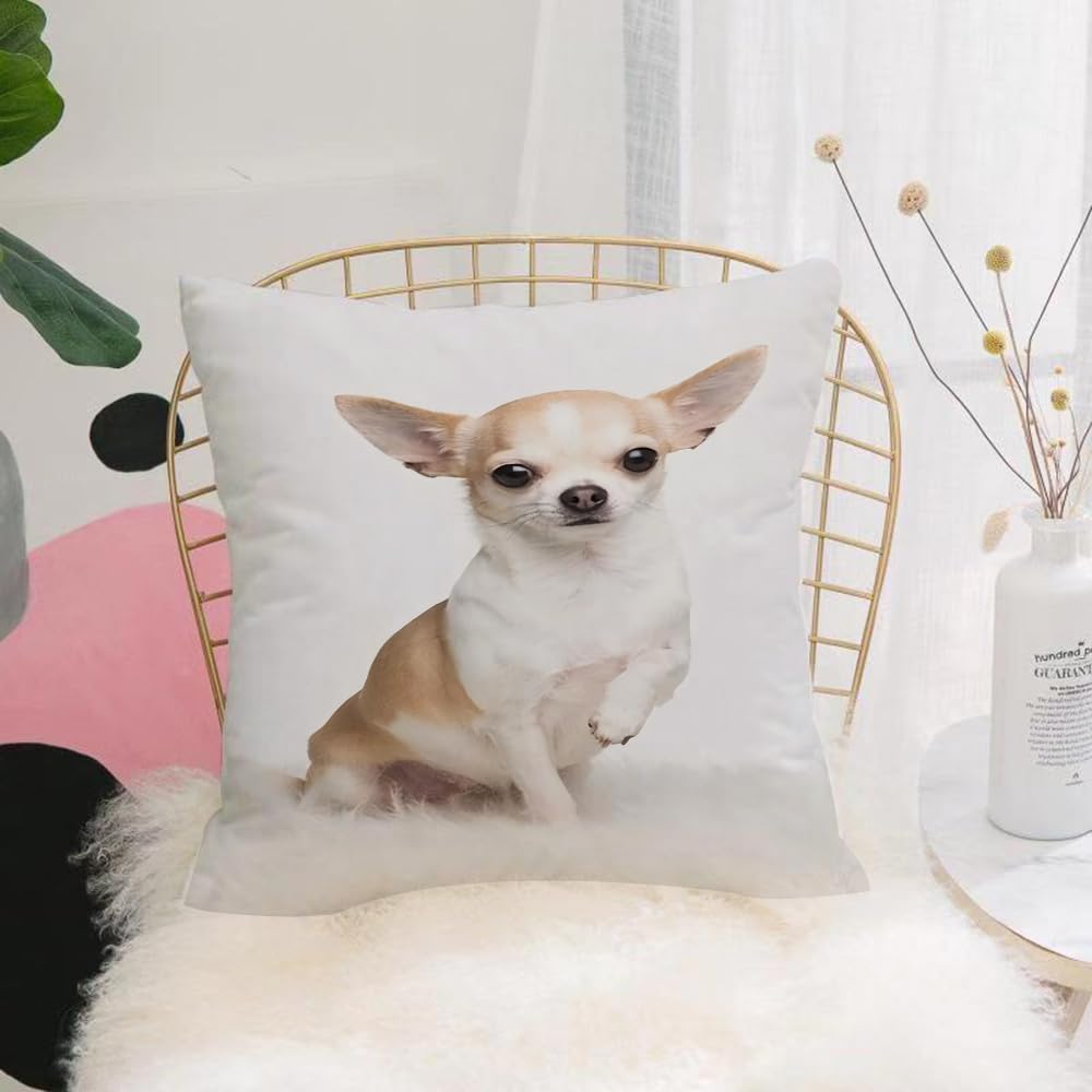 HYOSXW Cushion Cover,Throw Pillow Case Home Decorative for Living Room Bedroom Sofa Chair 16X16 Inch,Chihuahua, light brown and white cute sitting posture close-up,Pillowcase 40X40cm