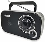 Denver Radio TR-51BLACK con sintonización analógica FM, Se Puede Utilizar con...