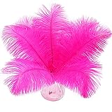 SendyFeather