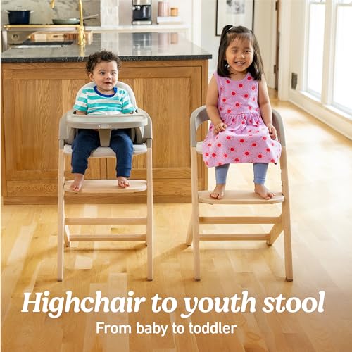 Image of Graco Close2Baby 2-in-1 Highchair & Toddler Youth Stool