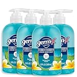 Germ-X Antibacterial Hand Soap, Moisturizing Liquid Hand Wash for Kitchen or Bathroom, pH Balanced & Dermatologist Tested, Spring Rain, 12 oz Pump Bottle (Pack of 4)