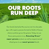 Amazing Grass Super Greens Booster, photo 5