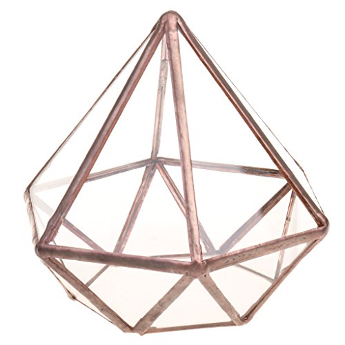 Preisvergleich Produktbild Hellery Transparentes fünfeckiges Dodekaeder Glas, Terrarium, Schmuck Organizer, auch für Sukkulenten - L