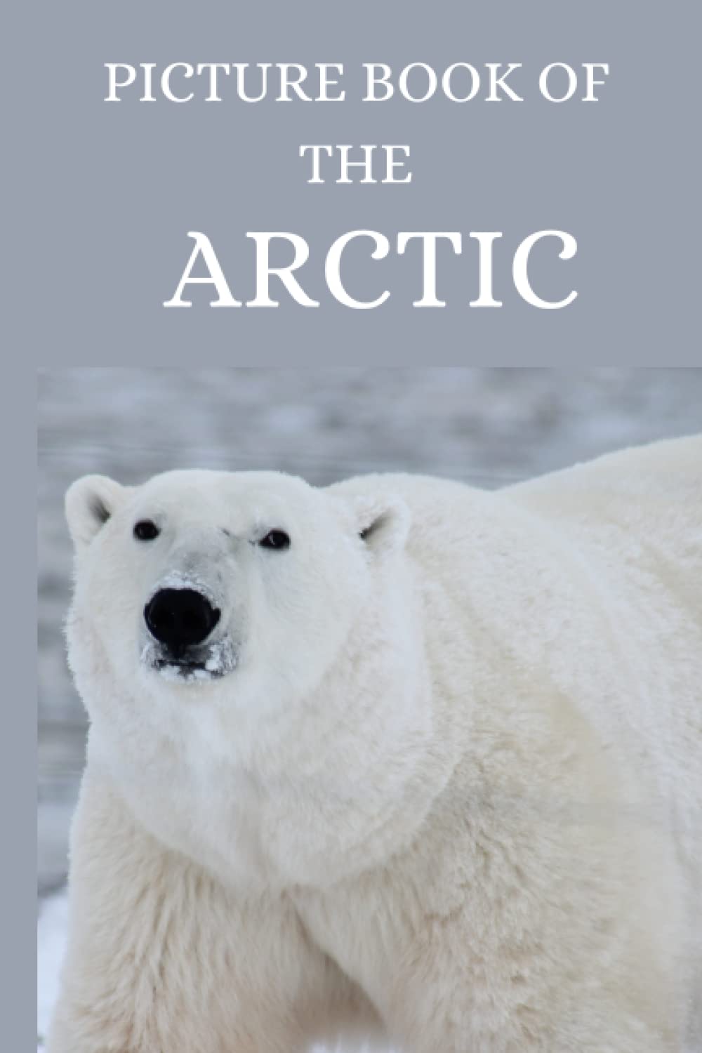 Picture Book of THE ARCTIC (Picture Books for Seniors with Dementia, Alzheimer's or Memory Loss)