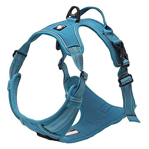 Harnais Réfléchissant TRUE LOVE TLH5651 Cover