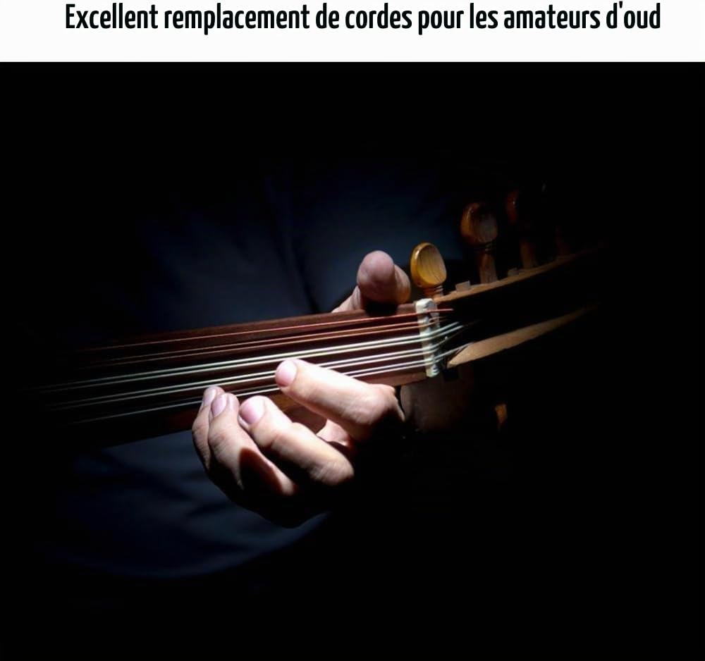 Cordes d'Oud, ensemble de cordes Oud accessoire d'instrument à cordes pour Oud (12 strings)