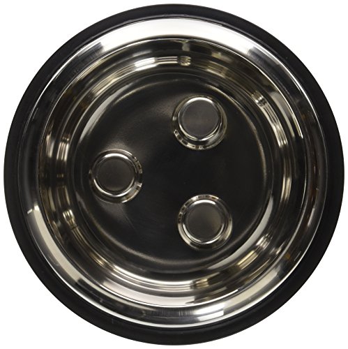 QT Dog Stainless Steel Brake-Fast Bowl, Medium, 64 Oz