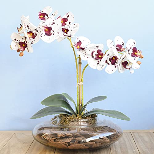 Arranjo com Duas Orquídeas Artificiais Tigre no Vaso de Vidro Transparente