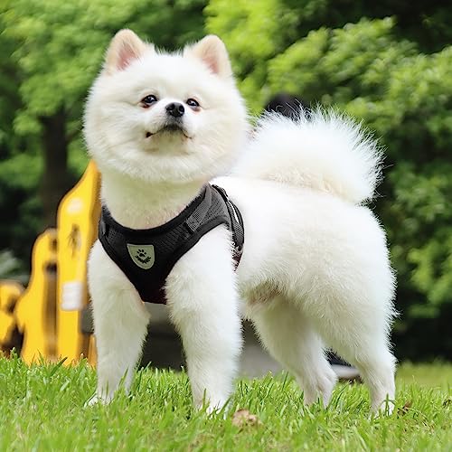 LOS ANDES Hundegeschirr & Katzengeschirr, Reflektierend, Weich Gepolstert, Air-Mesh für Welpen & Kleine Hunde & Katzen, Schwarz, Gestreift, S(Brust: 29-33cm)