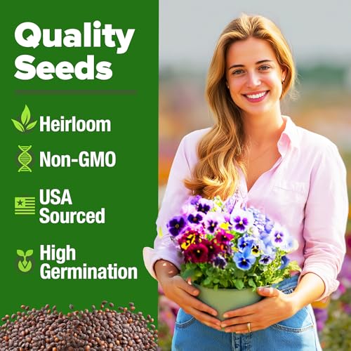 Image of HOME GROWN Pansy Swiss Giants Mix - 1,500 Flower Seeds (2.13g) - Fall Planting Pansies Seed - Edible Viola Seeds - Cold Hardy Annuals for Containers & Outdoor Gardens (Viola x wittrockiana)