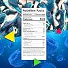 Blue Sharks Gummy Candy | 1 Pound Bag | Blue Raspberry and Marshmallow Flavor
