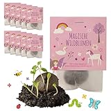 10x Einhorn Samenbomben als Mitgebsel...