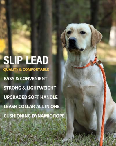 Image of 2 Pack Dog Leash Slip Lead Braided Rope Pet Training Loop Leashes 6ft 8ft