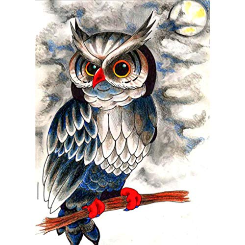 Caudblor Juego de pintura de diamantes 5D caleidoscopio con diseño de flores, pintura de diamante por números, decoración de pared, 30 x 40 cm (búho)