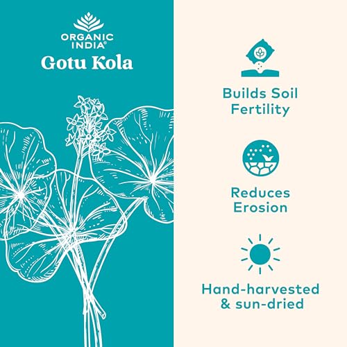 ORGANIC INDIA Gotu Kola Herbal Supplement - Adaptogen for Brain & Nervous System Support, Vegan, Gluten-Free, Kosher, USDA Certified Organic, Non-GMO, Calming, Mental Clarity - 90 Capsules - Image 3
