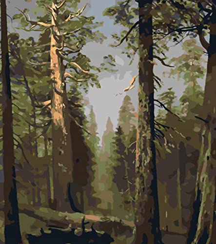 Peinture au diamant 5D forêt kit complet mosaïque strass point de croix