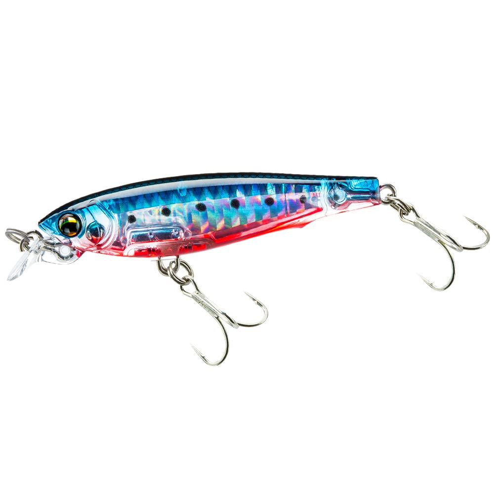 DUELL-Blue Fixed Minnow Lure, 2.8 inches (70 mm), 3.9 inches (100 mm), Sinking [Fishing Gear, Sea Fishing, Sea Bass