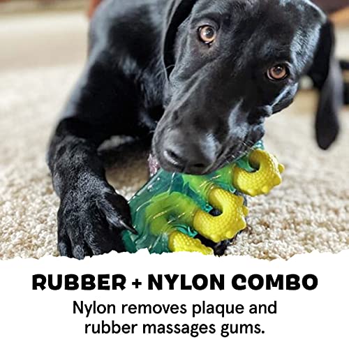 Barkbox Tough Dog Toys & Chews For Aggressive Chewers, Durable Rubber & Nylon Super Chewer Treat Dispensing, Balls, & Teething Toys For Small, Medium, & Large Dogs & Puppies, The Dog Ness Monster #TOP2