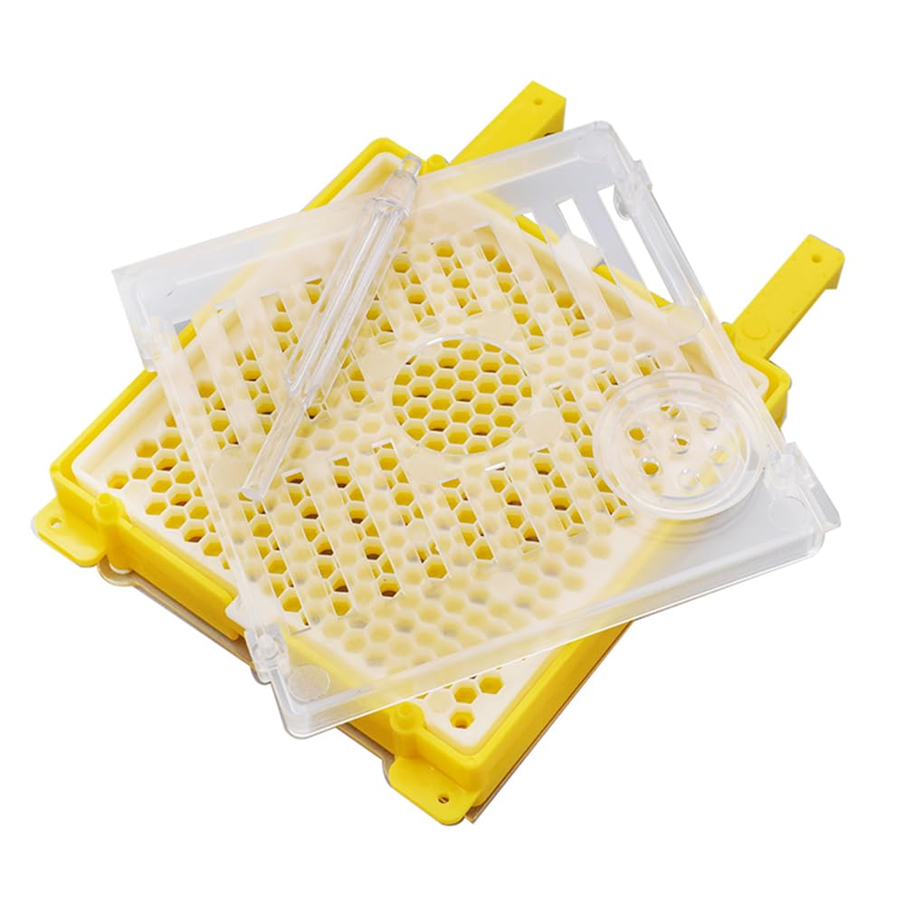 Kit complet d'élevage de reines - Incubateur d'abeille - Kit d'outils d'apiculture Queen Cell - Système d'élevage complet