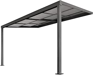 UISEBRT Luifel, overkapping, 50 x 160 cm, voordeurluifel van 3,5 mm