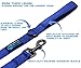 Max and Neo Reflective Nylon Dog Leash - We Donate a Leash to a Dog Rescue for Every Leash Sold (Blue, 6 FT)