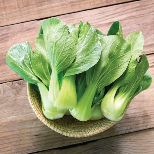 Golden Hills Farm Pak Choy/Bok Choy 500+ seeds (B09K4Q91PY) Amazon Price History, Amazon Price Tracker