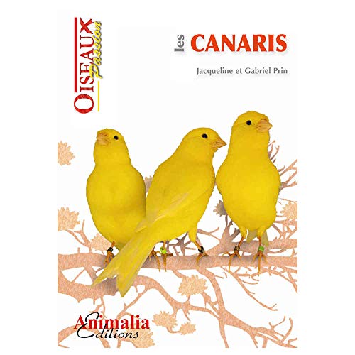 Les Canaris