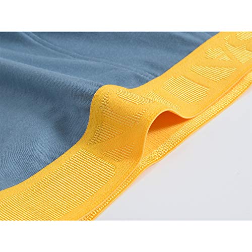 Mens Underwear Boxer Briefs Short Leg 5