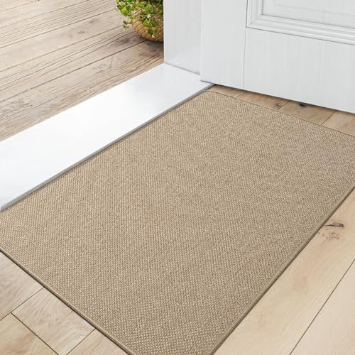 DEXI Fußmatte Innen 44 x 75cm, rutschfest Schmutzfangmatte, waschbar Fussmatte, Dünne Eingangstürmatte, Strapazierfähige Türmatte für Innenbereich, Beige