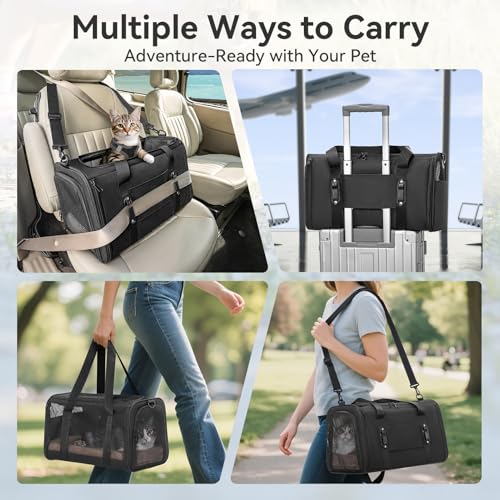 Petsfit Transportbox für Katzen – Faltbare Transporttasche für Haustiere bis 5 kg mit Netzfenstern & Innenkissen – ideal fürs Auto, Reisen & Tierarztbesuche – auch für kleine Hunde geeignet