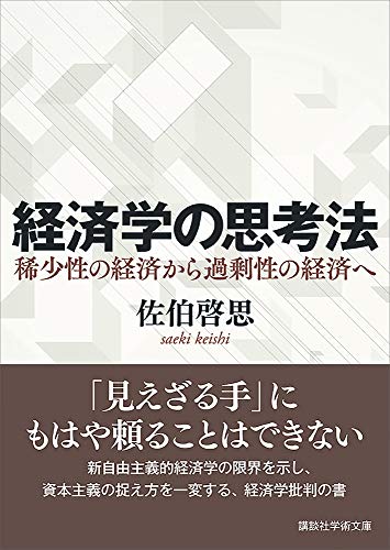経済学の思考法　稀少性の経済から過剰性の経済へ (講談社学術文庫)