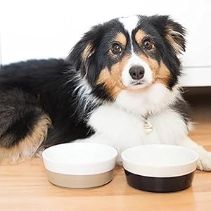 Waggo Dipper Ceramic Dog Bowl for Small and Large Breeds  Heavyweight and Durable Pet Food and Water Dish Crock Dishwasher Safe Modern vintage Grey Large  Cucciolini Doodles Waggo dipper ceramic dog bowl for small and large breeds  heavyweight and durable pet food and water dish crock dishwasher safe modern vintage grey large   cucciolini doodles