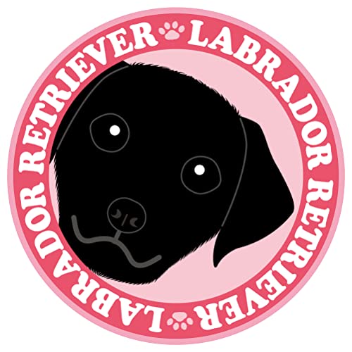 ߂ uh[ go[ ubN mn  XebJ[ sNobN ی^ LTCY MK-3