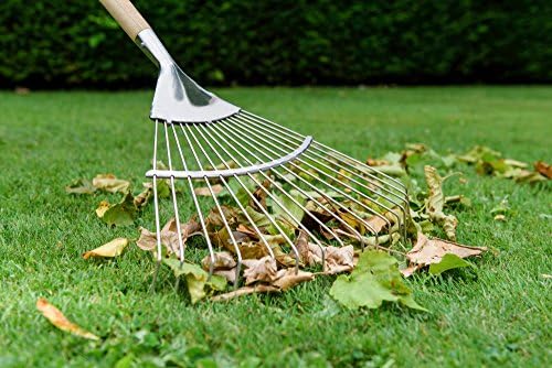 Kent and Stowe 70100061 Stainless Steel Long Handle Lawn and Leaf Rake