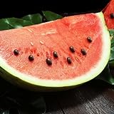 Black Diamond Yellow Belly Watermelon Seeds - 1 Oz ~400 Seeds - Non-GMO, Heirloom - Fruit & Vegetable Garden - Citrullus lanatus