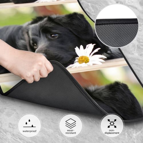 Alfombrillas de Labrador Negro para coche solución contra resbalones y suelo sucio 4