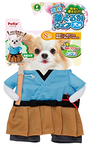 yeBI (Petio) ϐg݃EFA YY p S TCY