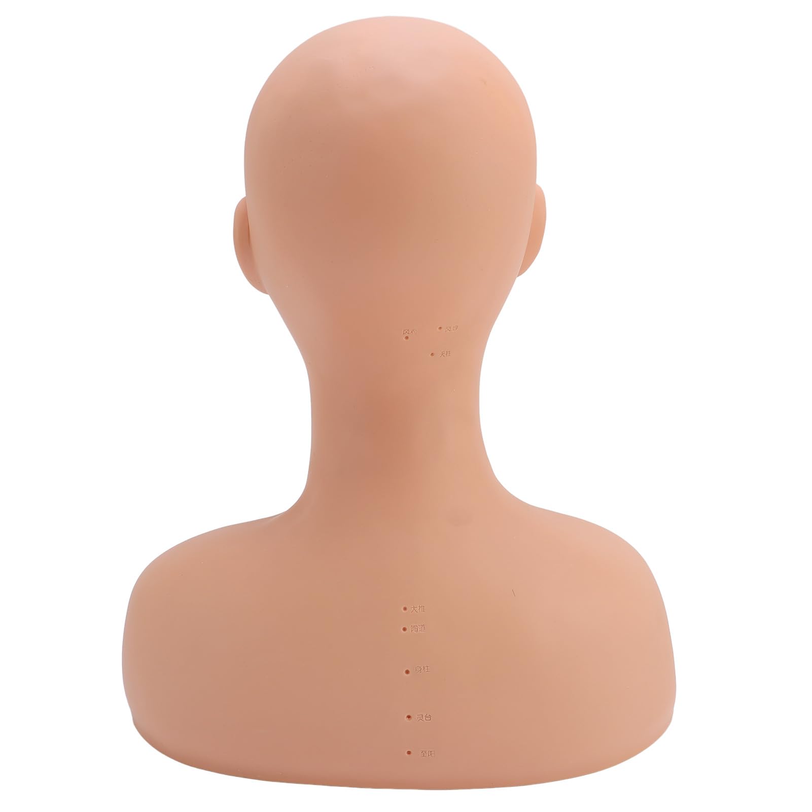 Kosmetik-Mannequin-Kopf mit Schulter, Ideal für Make-up-Hautpflege-Trainingsübungen