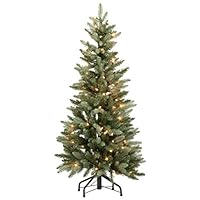 Algopix Similar Product 1 - Holiday PeakTM 4 PreLit Blue Spruce