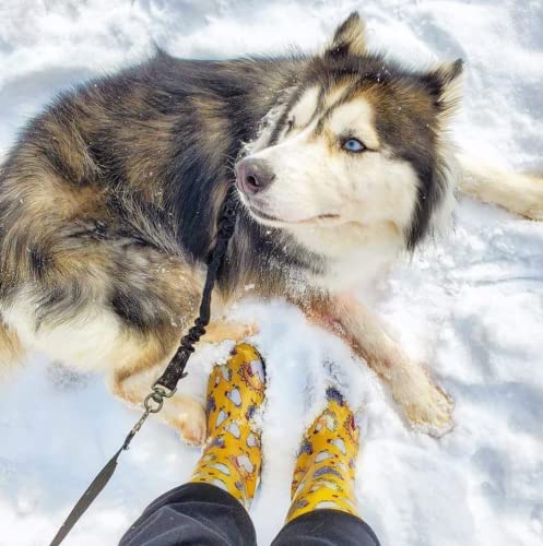 Sloggers Waterproof Garden Rain Boots for Women - Cute Mid-Calf Mud & Muck Boots with Premium Comfort Support Insole3