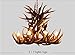 6+3 Head 9+3 Head 9+6 Head 9+9 Head Candle Antler Chandelier American Retro Resin Deer Horn Lamps Home Decoration Lighting E12 UL Listed (9+9Heads)