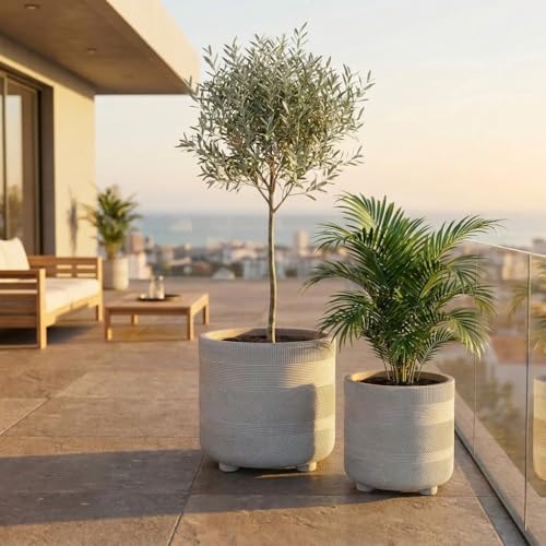 NATINDESIGN Olivenbaum Blumentopf Betonoptik 2er Set Ø 33,5 & 27cm XL Blumentopf Grau Gross für In- und Outdoor Palmentopf XXL Übertopf Pflanzkübel Groß Außen & Innen (2er Set ohne Beine)