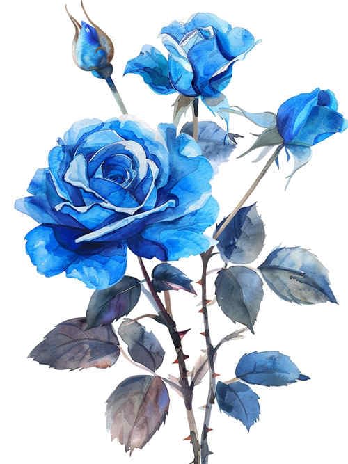 【rose様】Blue刺繍　2枚セット rose様】Blue刺繍 2枚セット Set of 2 Royal Blue Rose Flowers Sew on